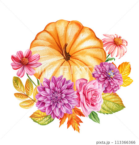 Autumn flora. Pumpkin, flowers and yellow leaves on isolated background, watercolor botanical illustration, hand drawing 113366366