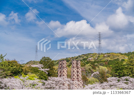 【静岡県】桜満開の韮山反射炉 113366367