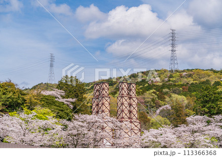 【静岡県】桜満開の韮山反射炉 【静岡県】桜満開の韮山反射炉 113366368