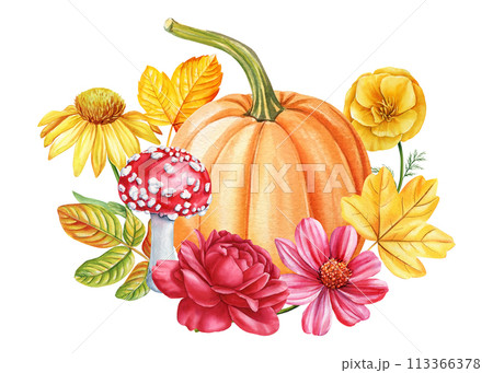 Autumn flora. Pumpkin, flowers, leaves, mushroom on isolated background, watercolor botanical illustration, hand drawing Autumn flora. Pumpkin, flowers, leaves, mushroom on isolated background, watercolor botanical illustration, hand drawing 113366378
