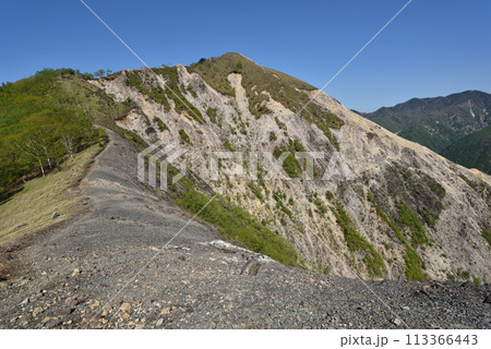 中倉山と沢入山、孤高のブナに出会う栃木県 中倉山と沢入山、孤高のブナに出会う栃木県 113366443