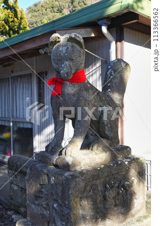 下田 住吉稲荷神社(静岡県下田市) 下田 住吉稲荷神社(静岡県下田市) 113366562
