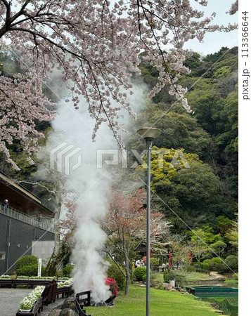 別府海地獄の満開の桜 113366644