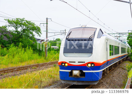 JR信越本線 特急しらゆき E653系 新潟⇔上越妙高 2023 JR信越本線 特急しらゆき E653系 新潟⇔上越妙高 2023 113366976
