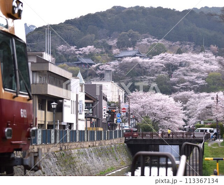 京阪電車（石山～坂本線）三井寺駅から見る桜 113367134