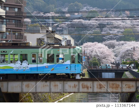 京阪電車（石山～坂本線）三井寺駅から見る桜 113367144