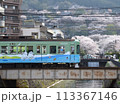 京阪電車（石山～坂本線）三井寺駅から見る桜 113367146