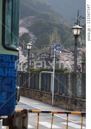 京阪電車(石山~坂本線)三井寺駅から見る桜 京阪電車(石山~坂本線)三井寺駅から見る桜 113367147