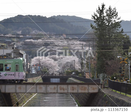 京阪電車(石山~坂本線)三井寺駅から見る桜 京阪電車(石山~坂本線)三井寺駅から見る桜 113367150