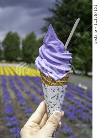 美味しいラベンダーソフトクリーム	 美味しいラベンダーソフトクリーム	 113367151