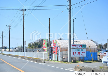 吉見町の風景　いちご農家　あまりん　走行中撮影　埼玉県　比企郡吉見町 113367394