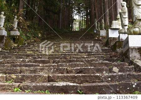 長興山 紹太寺 石段 長興山 紹太寺 石段 113367409