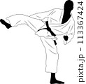 karate fighter, sidekick - vector 113367424