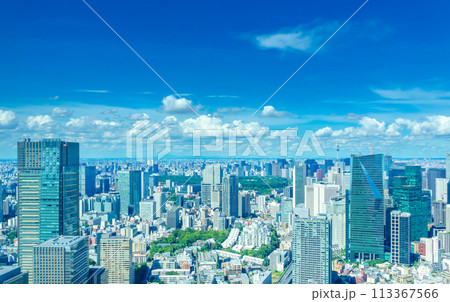 夏空の大都会東京 夏空の大都会東京 113367566
