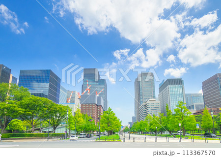 皇居前広場から望む丸の内と東京駅 113367570
