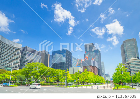 居前広場から望む丸の内と東京駅 居前広場から望む丸の内と東京駅 113367639