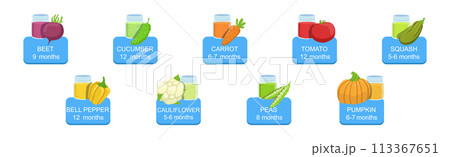 Baby Vegetable Puree Food Glass Jars Vector Set 113367651