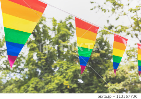 Colorful LGBTQ pride flags waving on sunny day with trees in background 113367730