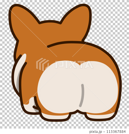 沒有尾巴的柯基犬的後視圖（紅色） 113367884