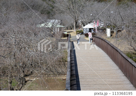 風土記の丘　茨城 113368195