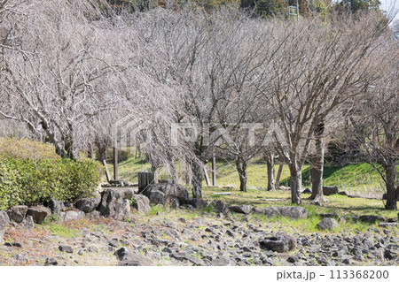 風土記の丘　茨城 113368200