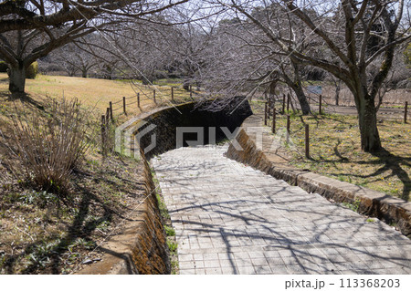 風土記の丘 茨城 風土記の丘 茨城 113368203