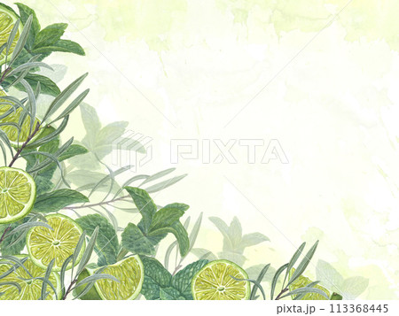 Juicy ripe lime slices with mint sprigs. Citrus and green plants. Horizontal frame with copy space for text. Watercolor summer botanical illustration. For greeting, invitation. Juicy ripe lime slices with mint sprigs. Citrus and green plants. Horizontal frame with copy space for text. Watercolor summer botanical illustration. For greeting, invitation. 113368445