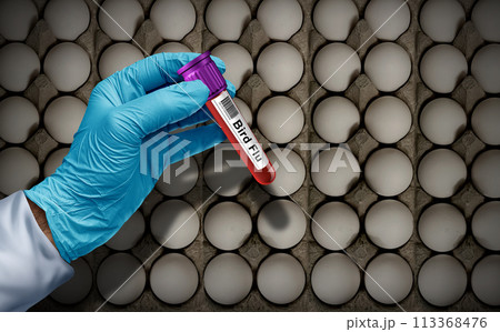 Bird Flu And Eggs 113368476