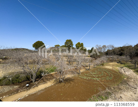 風土記の丘　茨城 113368559