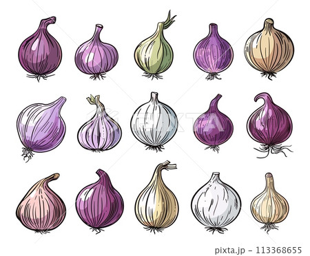 Colorful cartoon onions. Root vegetables, onion harvest elements. Farm market fresh products. Agriculture, spices, raw ingredients vector set Colorful cartoon onions. Root vegetables, onion harvest elements. Farm market fresh products. Agriculture, spices, raw ingredients vector set 113368655