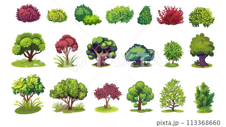 Cartoon bush and tree. Garden shrub, isolated colorful bushes with foliages. Nature elements, forest or park. Decorative vector organic ecology set 113368660
