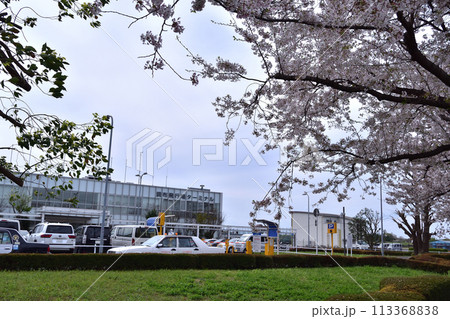 調布飛行場ターミナルと桜 113368838