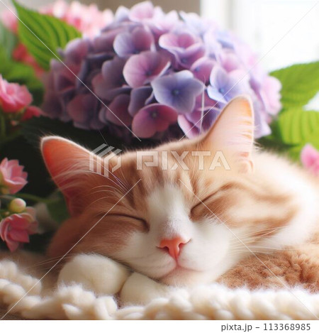 ピンクの花とかわいい猫 113368985