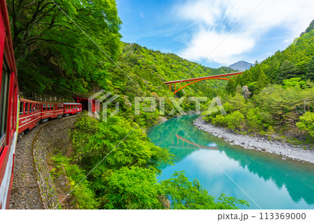 井川線 渓谷をゆっくりと走る日本で唯一のアプト式列車 絶景 車窓 井川線 渓谷をゆっくりと走る日本で唯一のアプト式列車 絶景 車窓 113369000