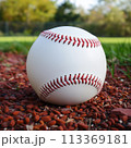 Baseball Ball on Blurred Outdoor Background 113369181