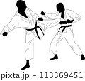 karate fighter, sidekick (martial arts) - vector 113369451