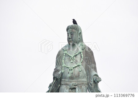 白背景に並ぶ仏像のカラス 113369776