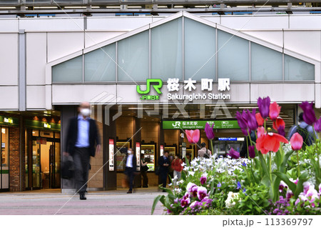 日本の横浜都市景観 春爛漫…桜木町駅などを望む=4月8日 日本の横浜都市景観 春爛漫…桜木町駅などを望む=4月8日 113369797