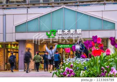 日本の横浜都市景観 春爛漫…桜木町駅などを望む=4月8日 日本の横浜都市景観 春爛漫…桜木町駅などを望む=4月8日 113369799
