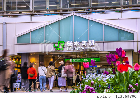 日本の横浜都市景観 春爛漫…桜木町駅などを望む=4月8日 日本の横浜都市景観 春爛漫…桜木町駅などを望む=4月8日 113369800