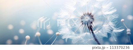 delicate dandelion seed head, showcasing the intricate parachute-like structure and textures of the seeds. Generative AI 113370236