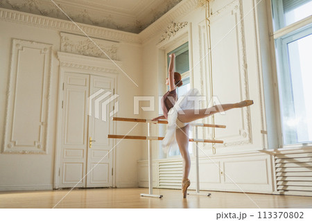 Young ballerina in tutu skirt stretching practicing ballet positions dancing near ballet barre in dance class. Young classical dancer woman in dance studio. Ballet class training Ballet school concept 113370802