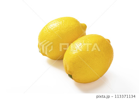 白バックのレモン 113371134