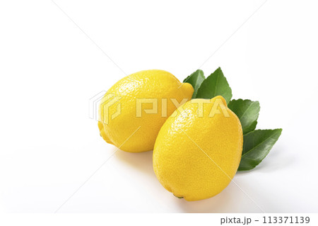 白バックのレモン 白バックのレモン 113371139