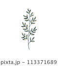 Green curved sprout with silhouette leaf. Icon Isolated on white. 113371689
