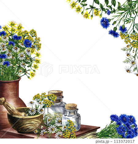A frame with medicinal herbs cornflower, chamomile and tansy. Dried, crushed in a linen bag, in glass bottles and a wooden pot. Mortar and pestle for grinding. A hand-drawn watercolor illustration. A frame with medicinal herbs cornflower, chamomile and tansy. Dried, crushed in a linen bag, in glass bottles and a wooden pot. Mortar and pestle for grinding. A hand-drawn watercolor illustration. 113372017