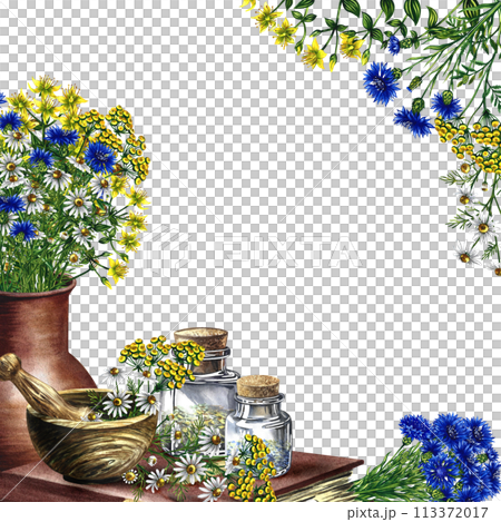 A frame with medicinal herbs cornflower, chamomile and tansy. Dried, crushed in a linen bag, in glass bottles and a wooden pot. Mortar and pestle for grinding. A hand-drawn watercolor illustration. 113372017