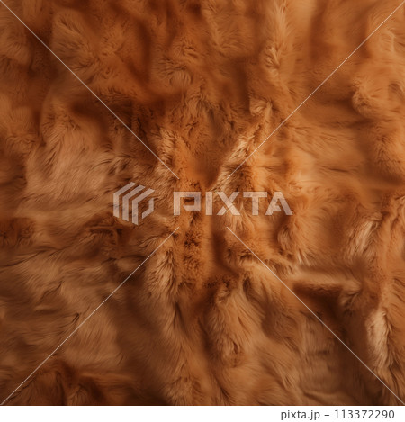 Brown and beige fur background 113372290