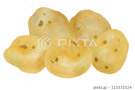 水彩で描いたジャガイモ 113372524