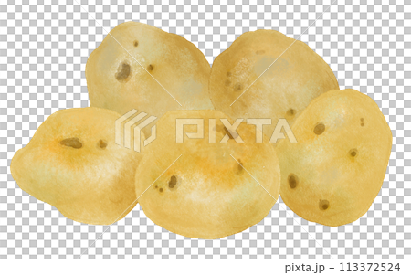 水彩で描いたジャガイモ 113372524